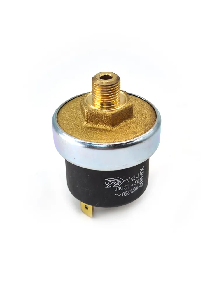 Bosch Buderus 1/8 İnce Diş Basınç Sondası | Orijinal Ölçü Uyumlu Bosch Buderus 1/8 İnce Diş Basınç Sondası | Orijinal Ölçü Uyumlu – PRO-SER