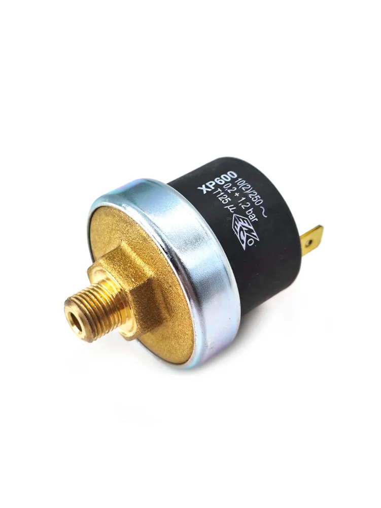 Bosch Buderus 1/8 İnce Diş Basınç Sondası | Orijinal Ölçü Uyumlu Bosch Buderus 1/8 İnce Diş Basınç Sondası | Orijinal Ölçü Uyumlu – PRO-SER